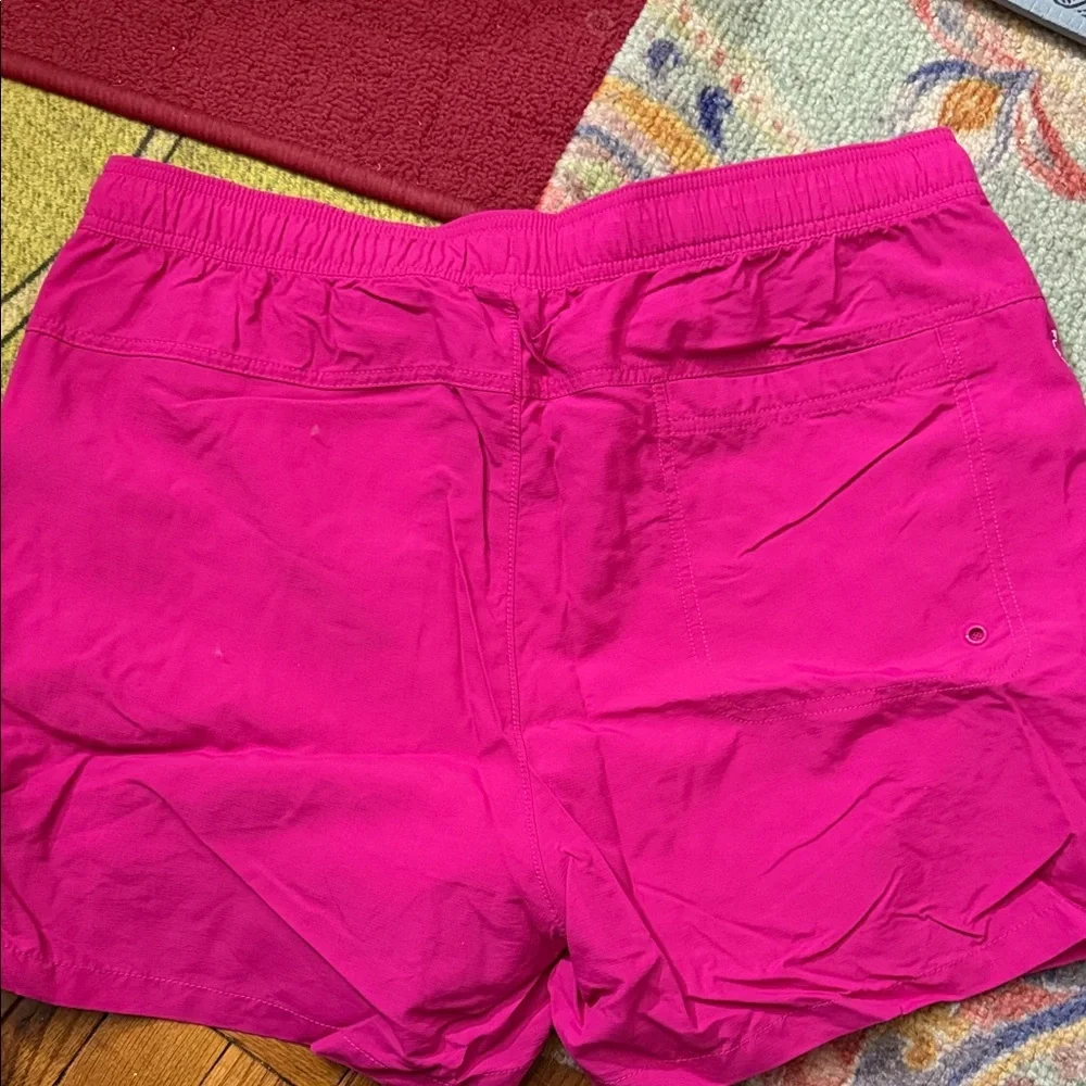 NWT The North Face men’s  Bright Pink flashdry Shorts